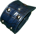 Blue thick w spine