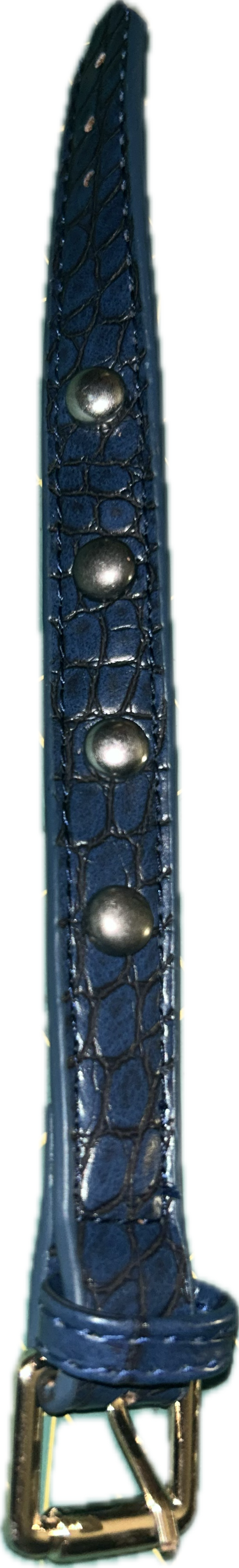 Blue/gold buckle