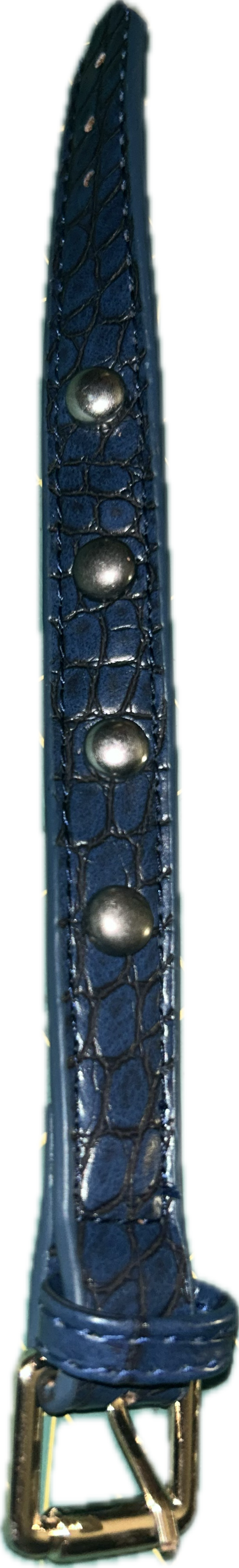 Blue/gold buckle