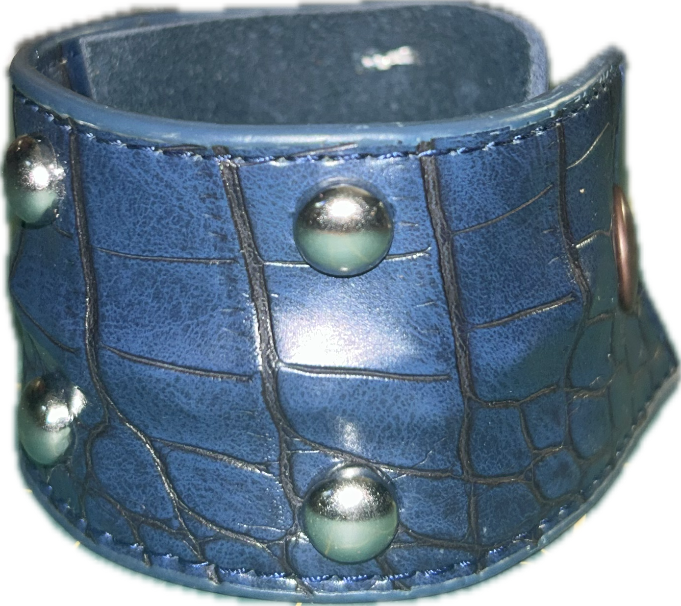 Blue thick w spine