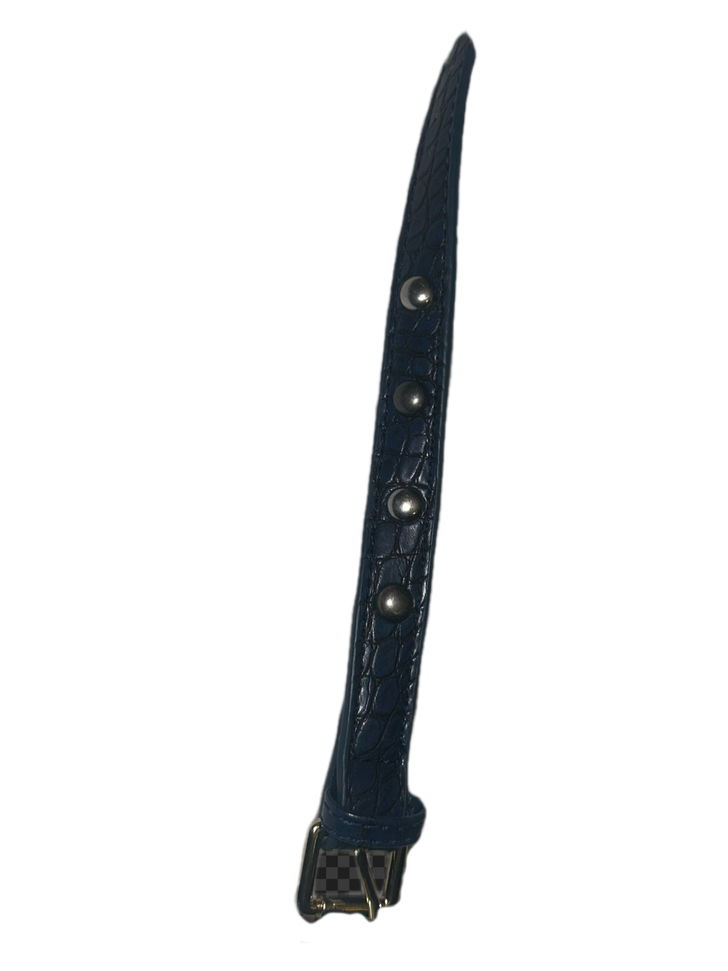 Blue/gold buckle
