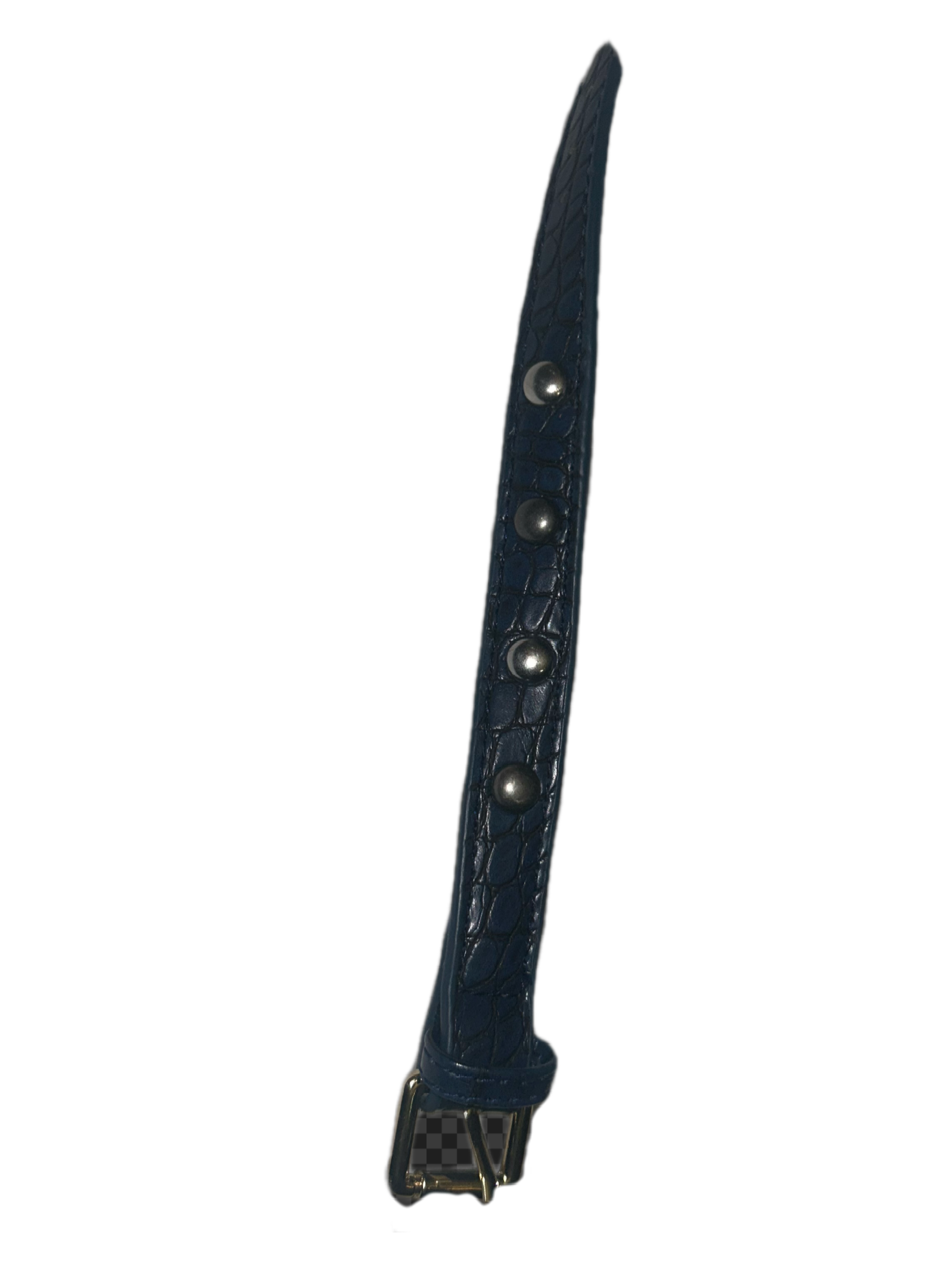 Blue/gold buckle