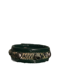 Shiny Greed