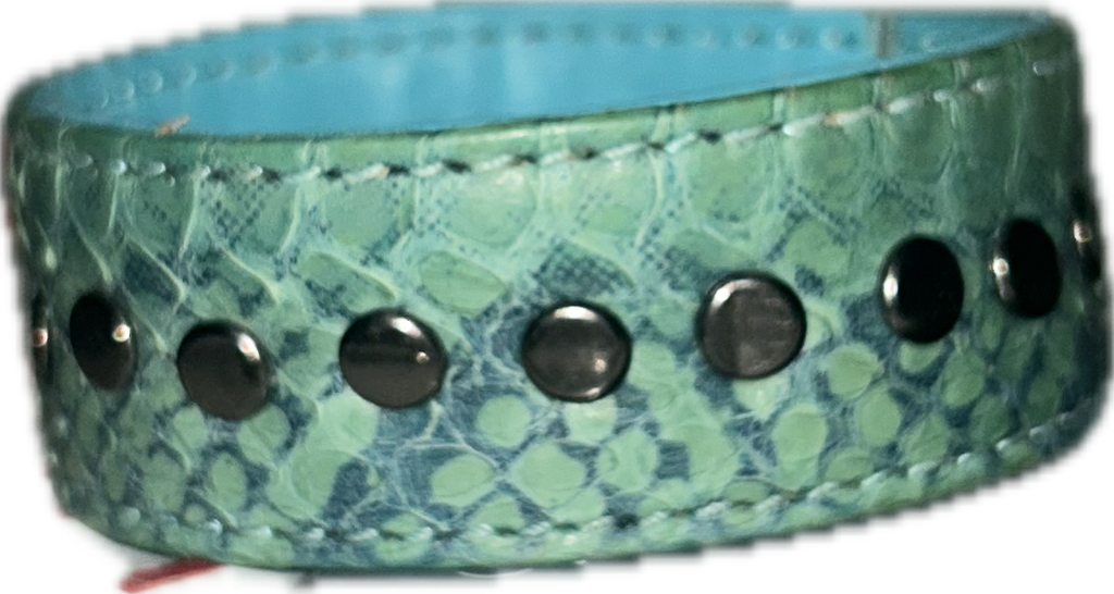 Lizard v2