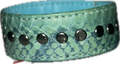 Lizard v2