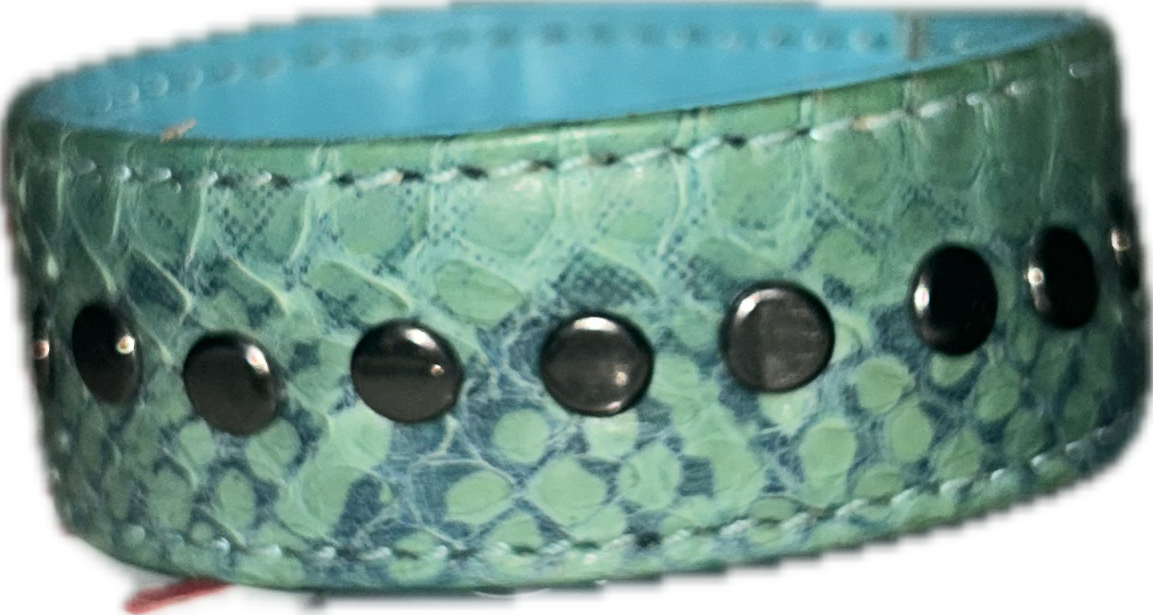 Lizard v2